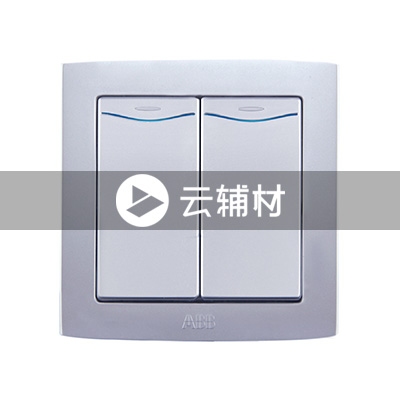 AS162-S二位单控带灯开关（银色） 10AX