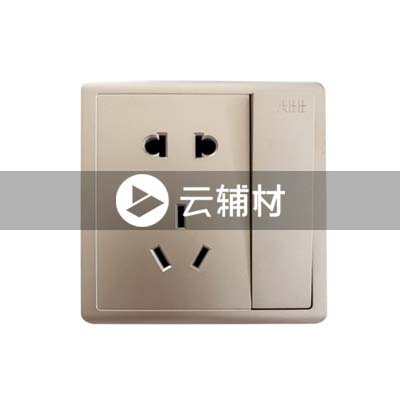 AQ225-CG二位二三极带开关插座 10A，金色