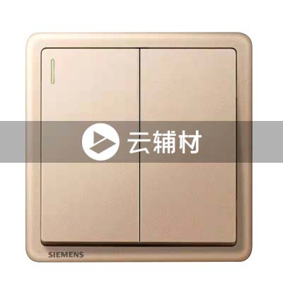 西门子致琦日耀金10AX 二位双控开关带荧光