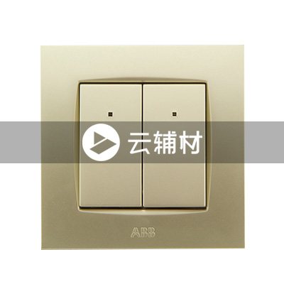 AU17853-PGPG 二位单控带灯开关10AX